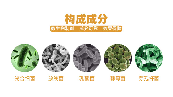 生物液除味技术