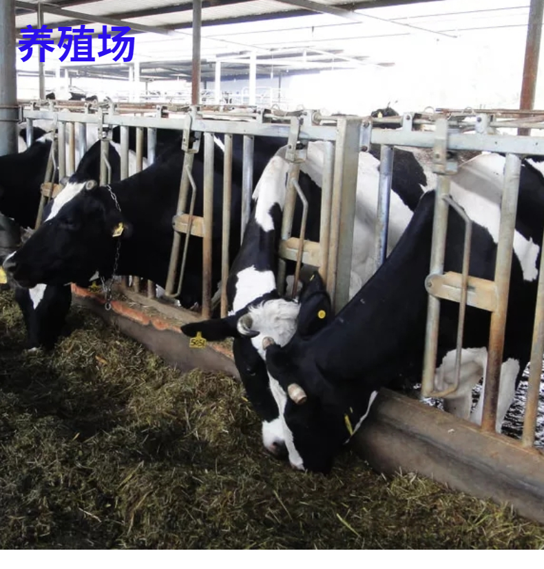 产品卖点3.jpg